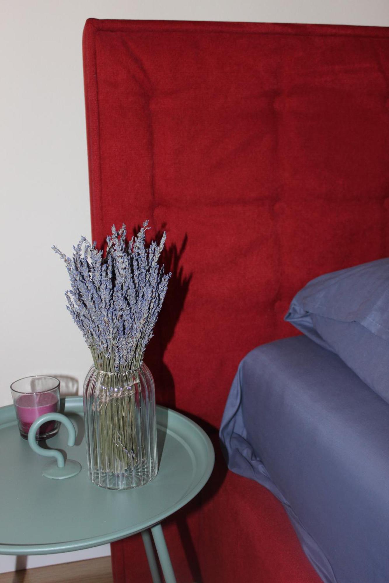 Lavandula Appartement *
